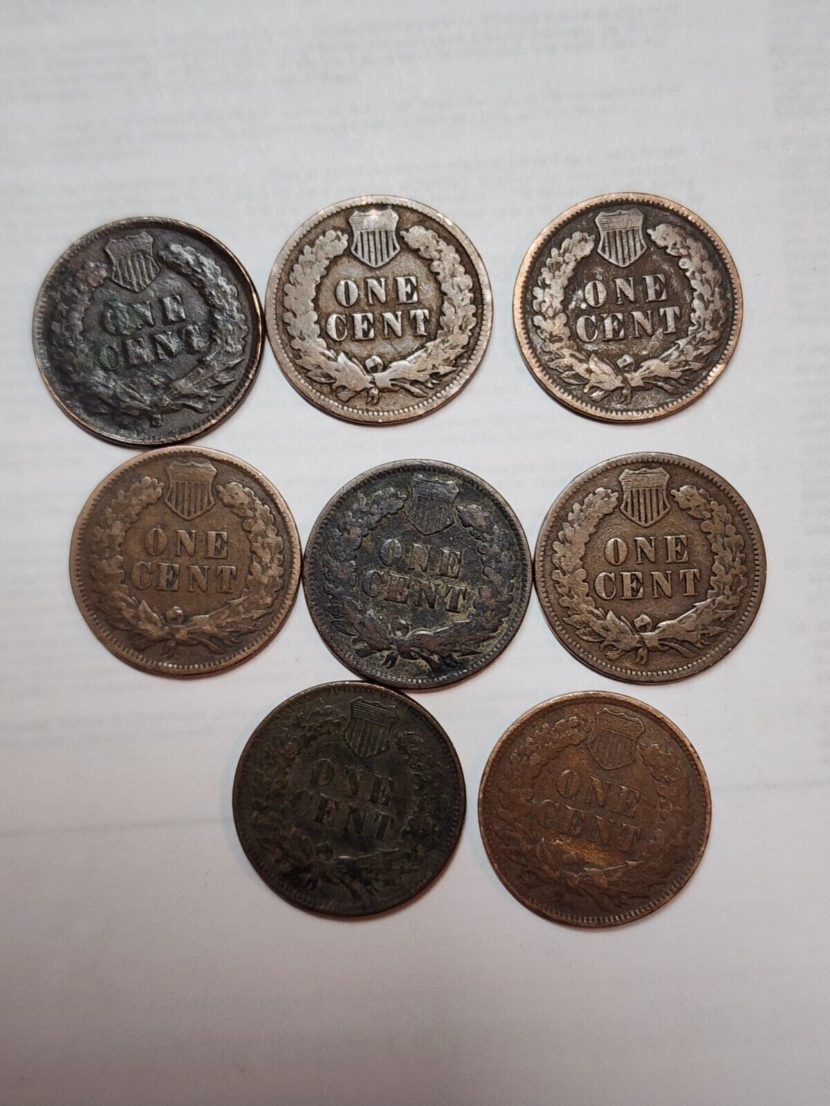 Lot of 8 - 1900-1908 Indian Head Cent Penny Coins - Circulated - Variety 3