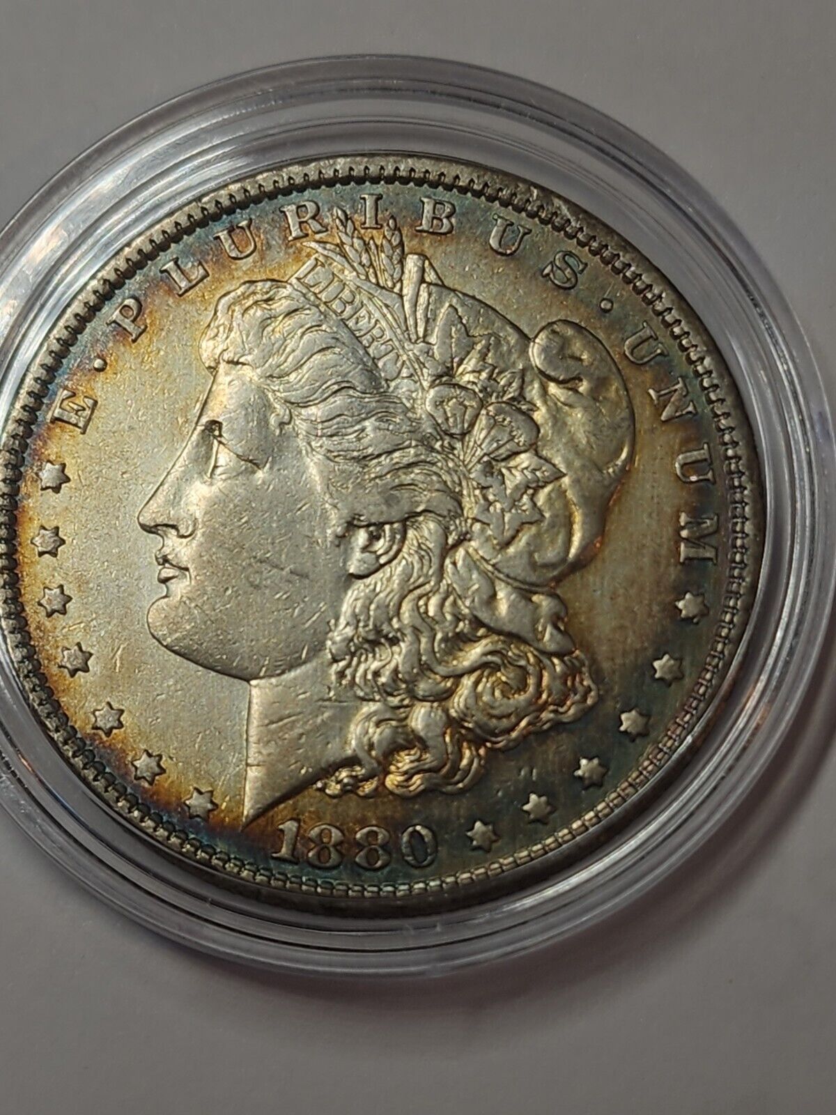 1880 P Morgan Silver Dollar | Grade VERY FINE Silver Morgan Dollar -  In Case